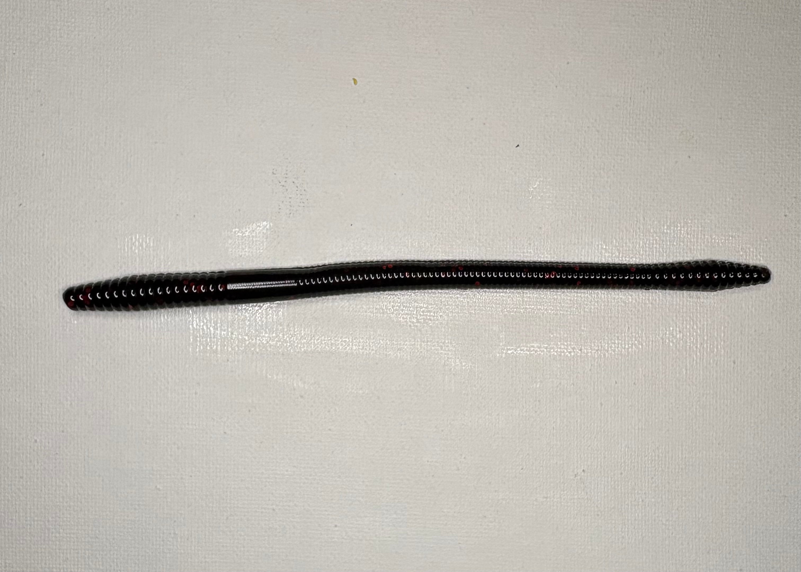 6" Finesse Worm
